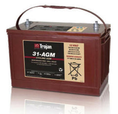 Trojan Battery 12 V 100 Ah Lead Acid Battery