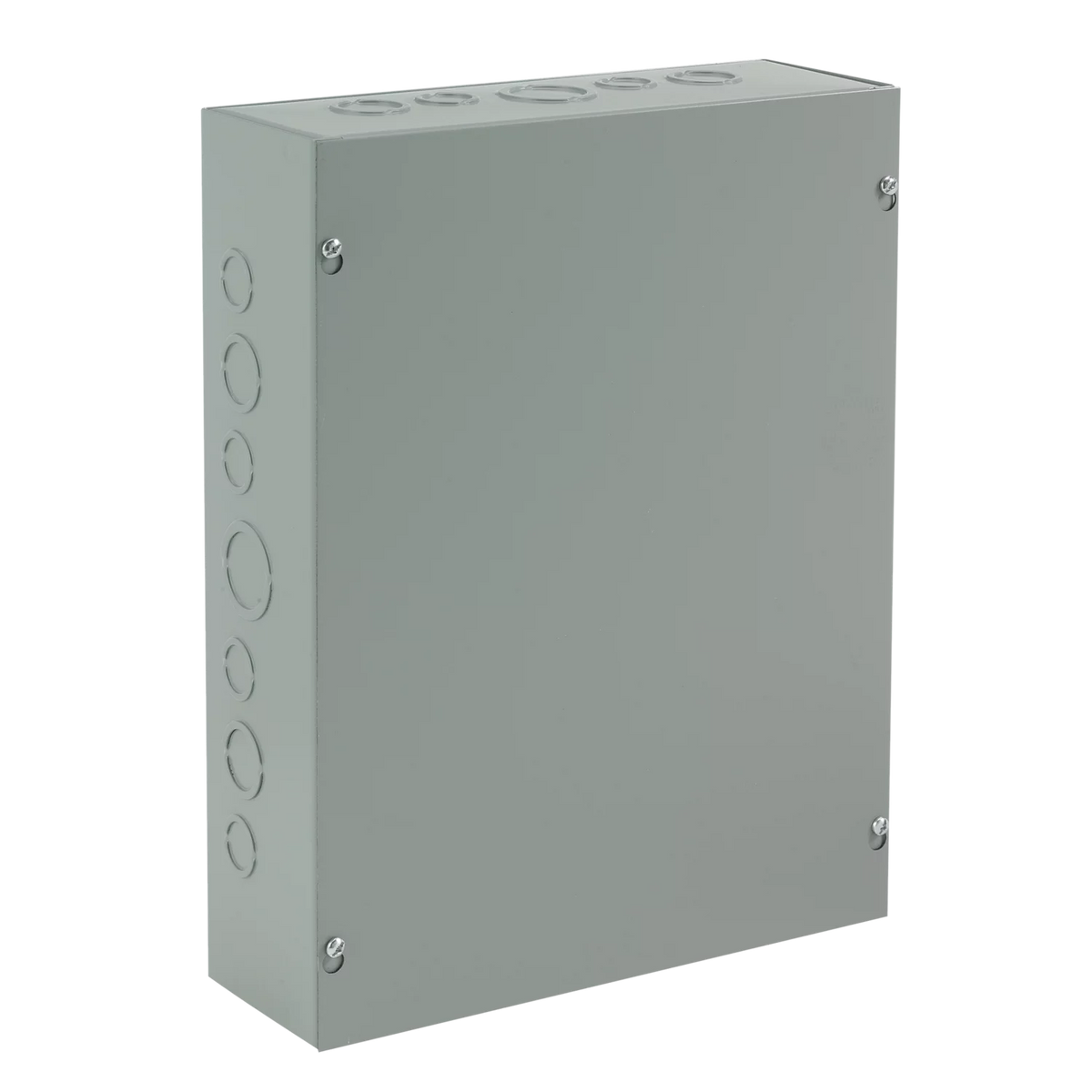ASE6X6X6 - Type 1 Screw Cover Enclosure