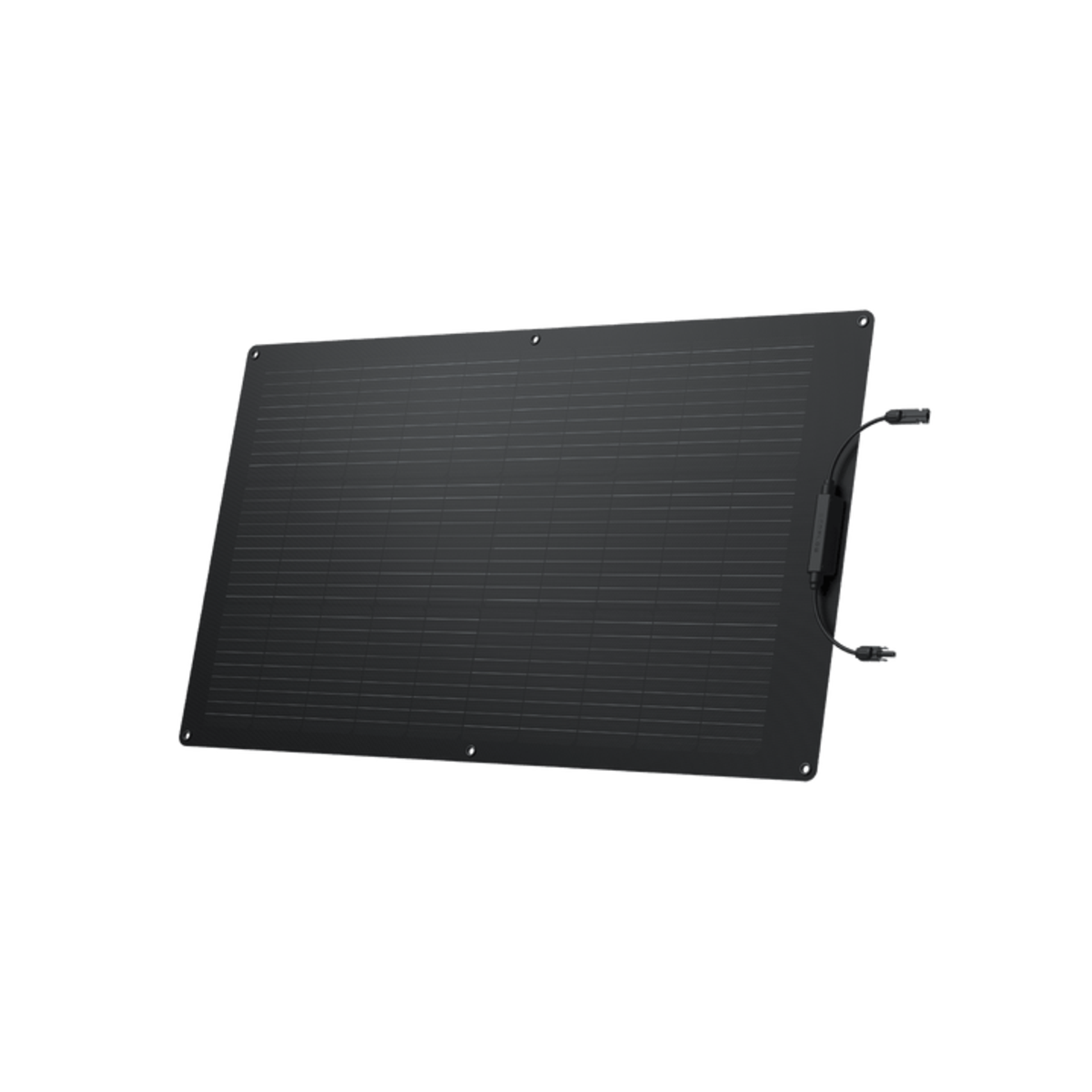 EcoFlow 100W Flexible Solar Panel.