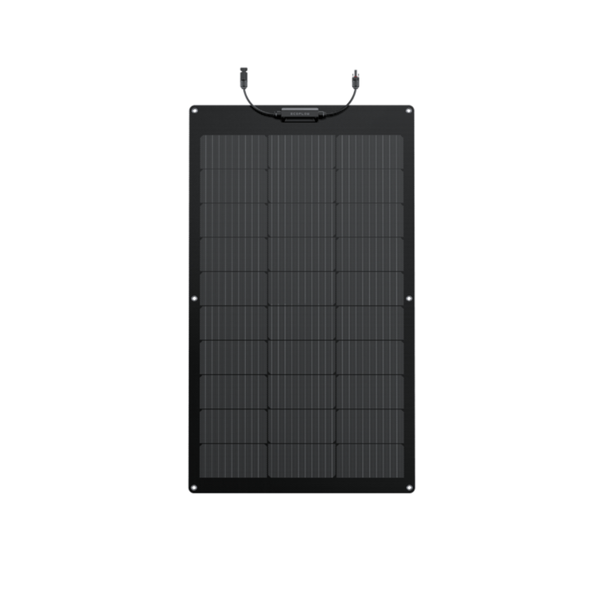 EcoFlow 100W Flexible Solar Panel.